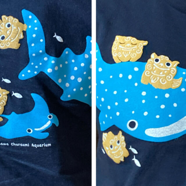 沖縄　美ら海水族館　オリジナルTシャツ　XS キッズ/ベビー/マタニティのキッズ服女の子用(90cm~)(Tシャツ/カットソー)の商品写真