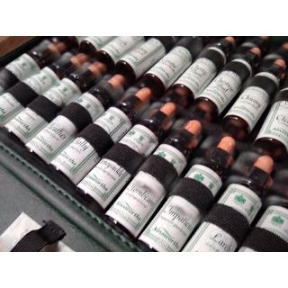 バッチ フラワーレメディ40本 木箱入り ネルソンズ | www.senda-cl.jp