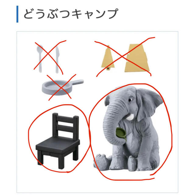 どうぶつキャンプ 象 - その他
