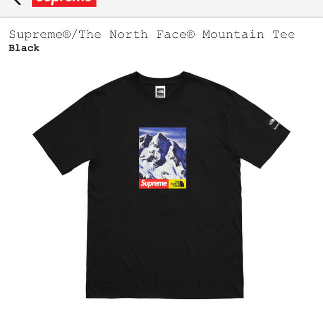 Supreme(シュプリーム)のsupreme north face tシャツ メンズのトップス(Tシャツ/カットソー(半袖/袖なし))の商品写真
