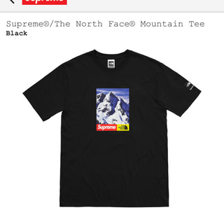 シュプリーム(Supreme)のsupreme north face tシャツ(Tシャツ/カットソー(半袖/袖なし))