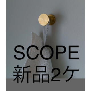 アクタス(ACTUS)の【かんたん様専用】新品　スコープ / 真鍮ネジ式 フック1型 [scope](その他)