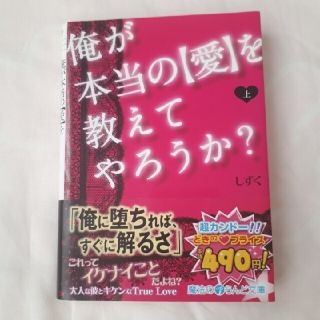 ☆　俺が本当の〈愛〉を教えてやろうか? 上(文学/小説)