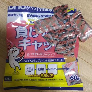 ディーエイチシー 猫の通販 30点 DHCのその他を買うならラクマ