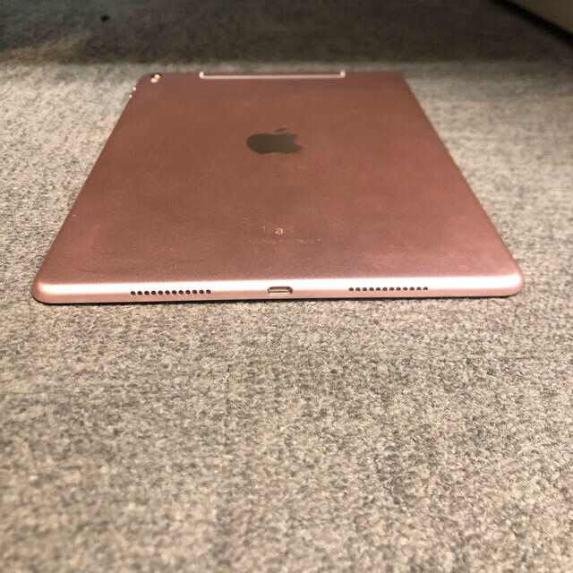 iPad Pro 9.7 256GB Wi-Fi+Cellular | orinocoorigen.com
