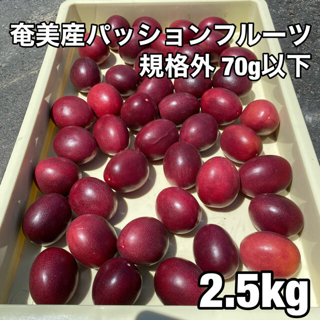 奄美産パッションフルーツ　規格外2.５キロ 食品/飲料/酒の食品(フルーツ)の商品写真