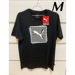 プーマ(PUMA)の新品　プーマ　半袖　tシャツ M ビックロゴ　グラフィック　ボックスロゴ(Tシャツ/カットソー(半袖/袖なし))