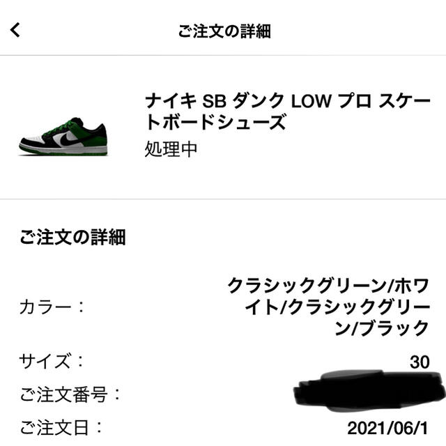 NIKE(ナイキ)のNIKE SB ダンク　Low プロ　Classic Green メンズの靴/シューズ(スニーカー)の商品写真