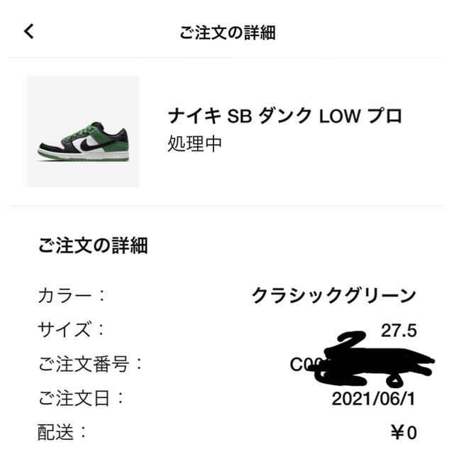 Nike SB DUNK LOW pro classic green 27.5 1