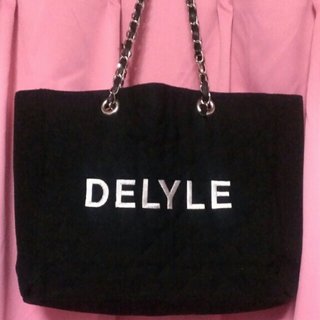 デイライルノアール(Delyle NOIR)のDELYLE チェーンバッグ☆*ﾟ(ハンドバッグ)