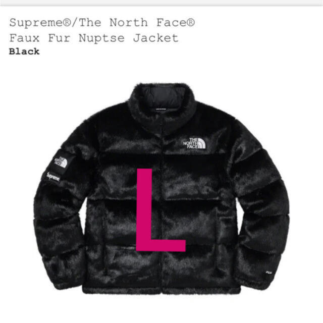 supreme the north face L