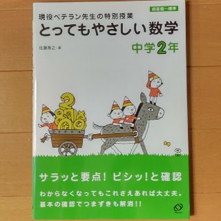 とってもやさしい数学 現役ベテラン先生の特別授業 中学２年(文学/小説)