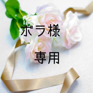 ボラ様専用　お米　令和２年　愛媛県産コシヒカリ　玄米　30㎏(米/穀物)