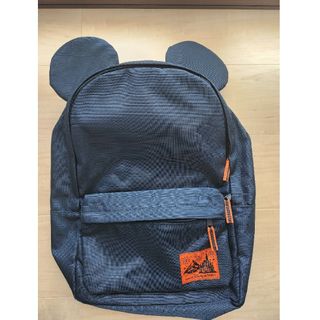 ディズニー(Disney)のディズニーランド　リュック【新品未使用品】(リュック/バックパック)