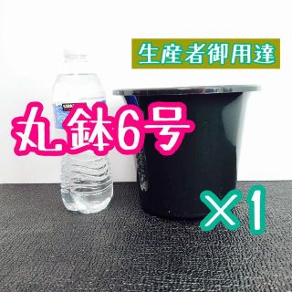 ◎1個◎ 丸鉢 6号 / 6寸 / 18cm プラ鉢 黒 ブラック(プランター)