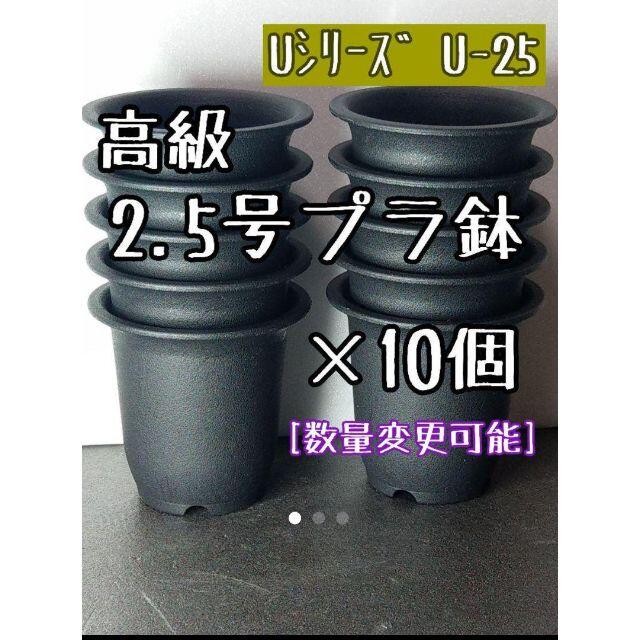 【Ｕ25】◎10個◎ 高級 プラ鉢 2.5号 U-25 硬質 丸鉢 ミニ鉢 ハンドメイドのフラワー/ガーデン(プランター)の商品写真