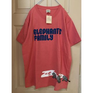 ランドリー(LAUNDRY)のランドリー　Laundry☆新品Tシャツ　L(Tシャツ/カットソー(半袖/袖なし))