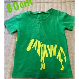 しまうま柄のグリーンTシャツ　80㎝(Ｔシャツ)