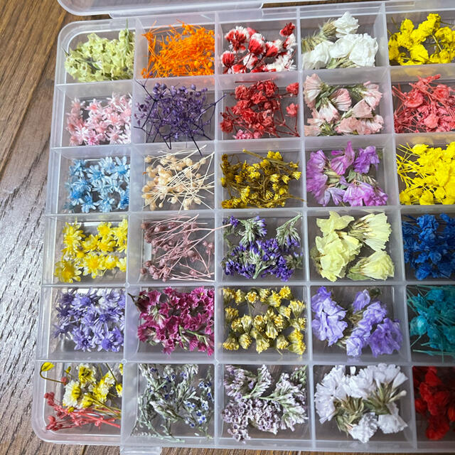 ハーバリウム花材セット ハンドメイドの素材/材料(各種パーツ)の商品写真