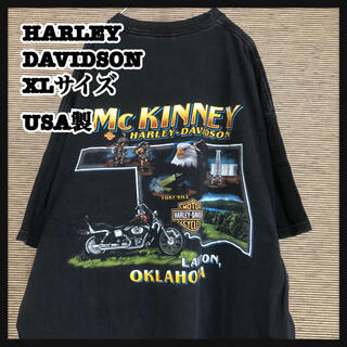 ハーレーダビッドソン(Harley Davidson)の【ハーレーダビッドソン】USA製半袖Tシャツ　ネイティブアメリカン　アニマル80(Tシャツ/カットソー(半袖/袖なし))