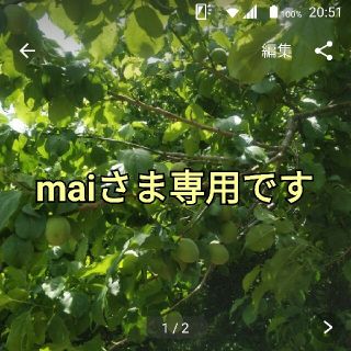 maiさま専用(その他)