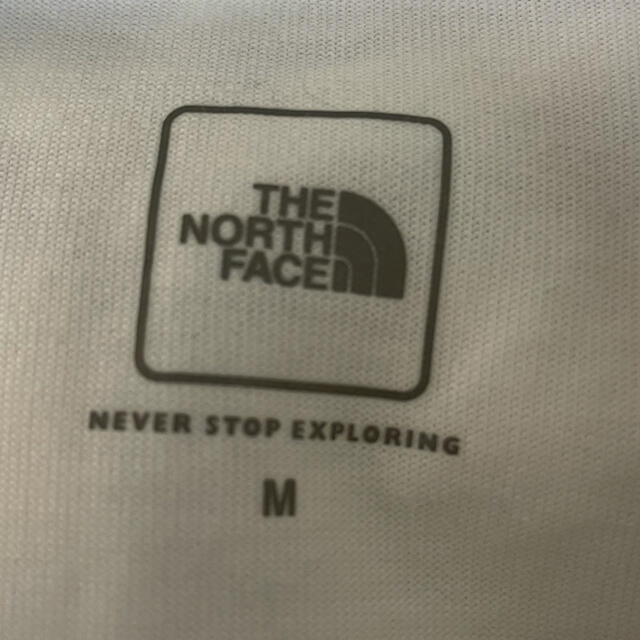 THE NORTH FACE(ザノースフェイス)のノースフェイス半袖Tシャツ ショートスリーブパネルボーダーティー  メンズのトップス(Tシャツ/カットソー(半袖/袖なし))の商品写真