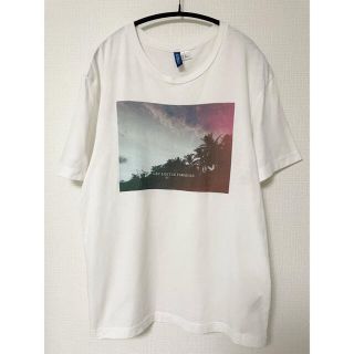 エイチアンドエム(H&M)の【H&M】Tシャツ(Tシャツ/カットソー(半袖/袖なし))