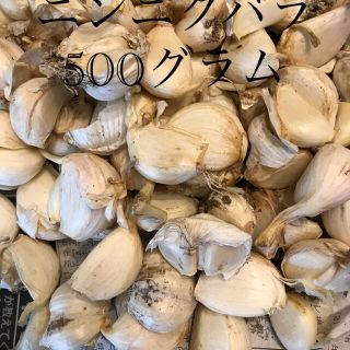 ニンニクバラ500グラム(野菜)