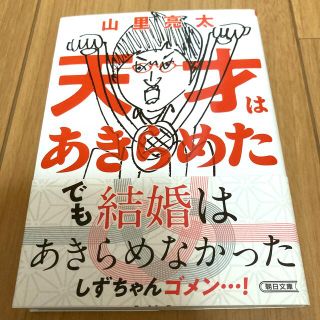 天才はあきらめた(文学/小説)