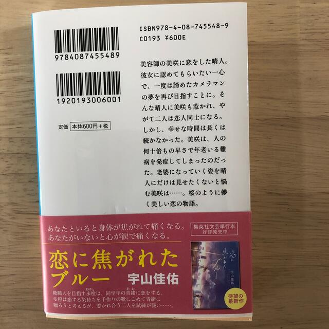 桜のような僕の恋人 エンタメ/ホビーの本(文学/小説)の商品写真