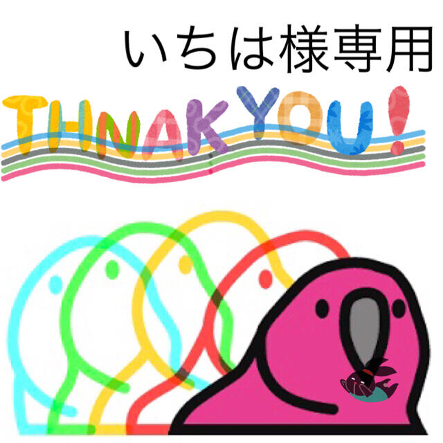6/1 いちは様専用 - grupobatia.com.mx