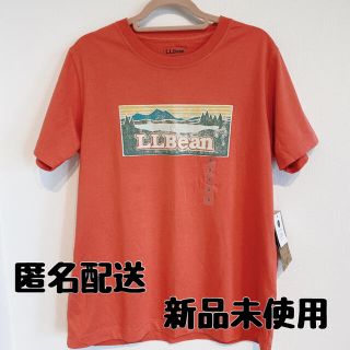 エルエルビーン(L.L.Bean)のLL bean エルエルビーン ロゴ Tシャツ Sサイズ タグ付き(Tシャツ(半袖/袖なし))