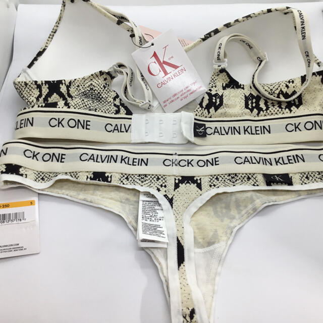 Calvin Klein(カルバンクライン)のCALVIN Klein S,XS ノンワイヤー　カップ付　ブラショーツセット レディースの下着/アンダーウェア(ブラ&ショーツセット)の商品写真