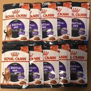 ロイヤルカナン(ROYAL CANIN)のロイヤルカナン おねだりの多い成猫用 ウェットフード10袋 グレービー(ペットフード)