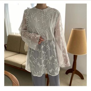 willfully embroidery chiffon sheer BL (シャツ/ブラウス(長袖/七分))