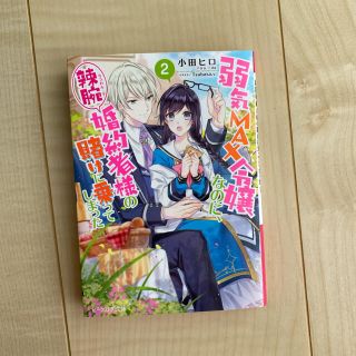 弱気ＭＡＸ令嬢なのに、辣腕婚約者様の賭けに乗ってしまった ２(文学/小説)