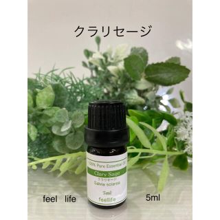 ♥️クラリセージ♥️エッセンシャルオイル♥️5ml♥️送料込み価格♥️(エッセンシャルオイル（精油）)