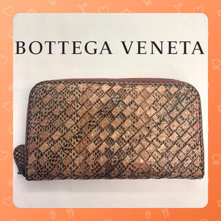 ボッテガヴェネタ(Bottega Veneta)のボッテガヴェネタ BOTTEGA VENETA パイソン A1000461(財布)