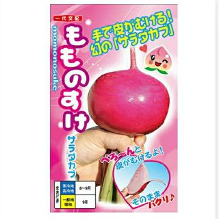 もものすけの種　100粒  みーまま様専用(野菜)