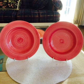 ザラホーム(ZARA HOME)のザラホーム  ZARA HOME プレート 2枚セット　お皿　深皿(食器)