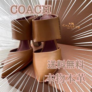 コーチ(COACH)の【本物】Coach コーチ　パンプスサンダル　ヌメ革　本革　新品未使用(サンダル)