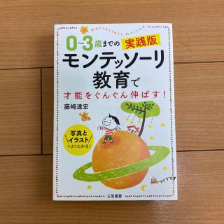 ０～３歳までの実践版モンテッソーリ教育で才能をぐんぐん伸ばす！ 写真とイラストで(結婚/出産/子育て)