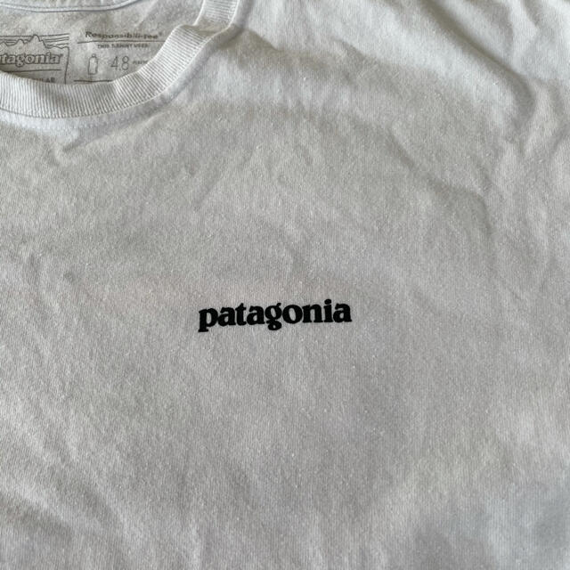 patagonia(パタゴニア)のpａｔａｇｏｎｉａ　パタゴニアＴシャツ　Sサイズ メンズのトップス(Tシャツ/カットソー(半袖/袖なし))の商品写真