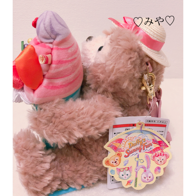 ダッフィー - 新品・未使用☆ダッフィー☆サニーファン☆パス