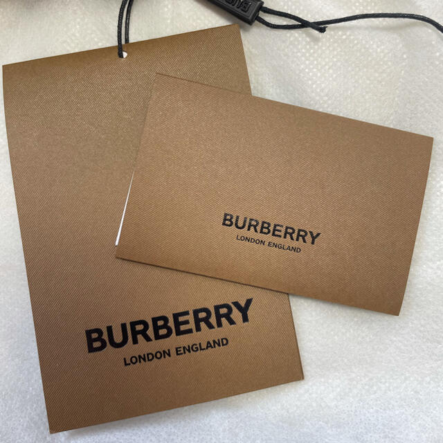 BURBERRY(バーバリー)のバーバリー ショルダーバッグ レディースのバッグ(ショルダーバッグ)の商品写真