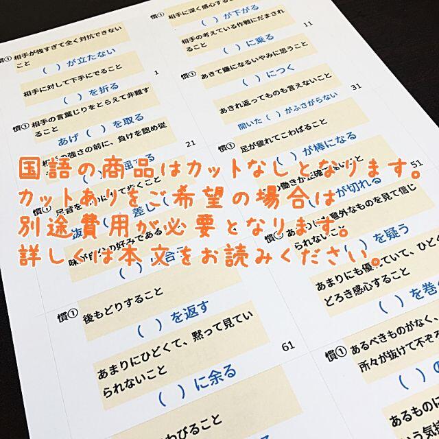 中学受験 暗記カード 算数・国語・理科・社会 暗記カードセット 中学受験 暗記カード 算数・国語・理科・社会 暗記カードセット