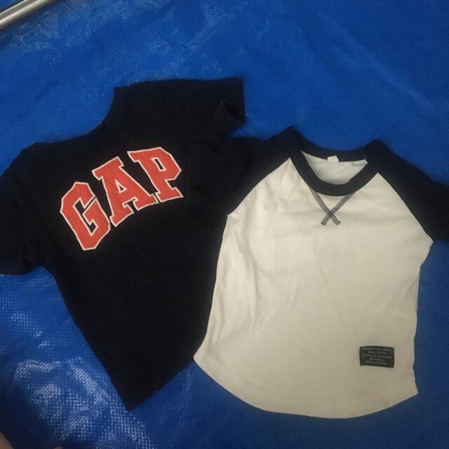 babyGAP(ベビーギャップ)のまとめ売り　80サイズ　Tシャツ　保育園用 キッズ/ベビー/マタニティのベビー服(~85cm)(Ｔシャツ)の商品写真