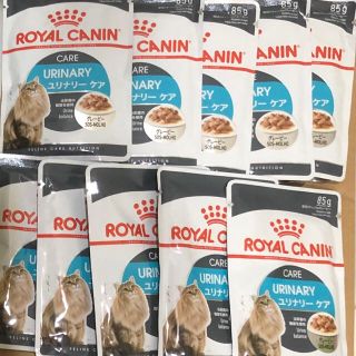 ロイヤルカナン(ROYAL CANIN)のロイヤルカナン 成猫用ウェットフード11袋 ユリナリーケア グレービー(ペットフード)