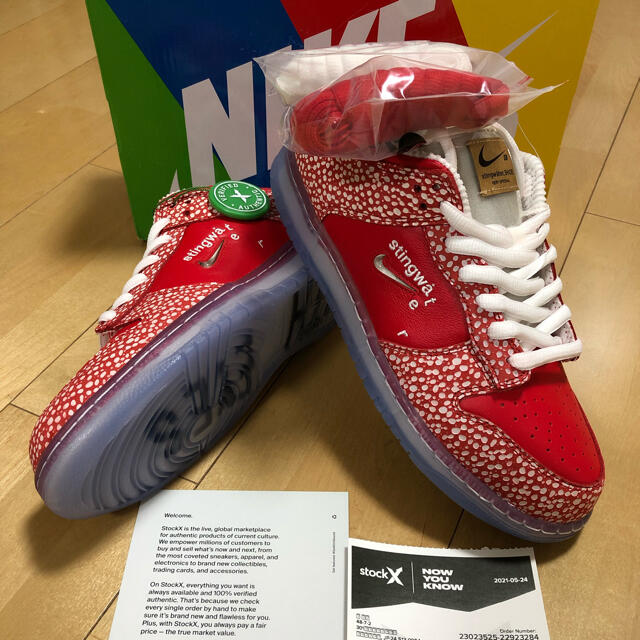 STINGWATER × NIKE SB DUNK MAGIC MUSHROOM