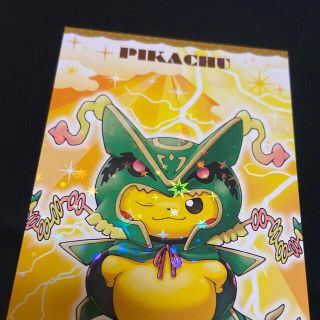 【タイムセール】ポケモンセンター ポンチョを着たピカチュウ 名刺カード レア